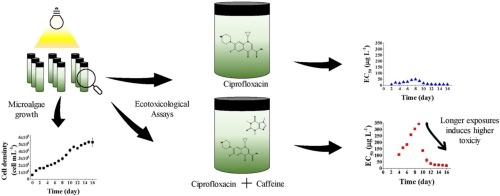 Ciprofloxacin France